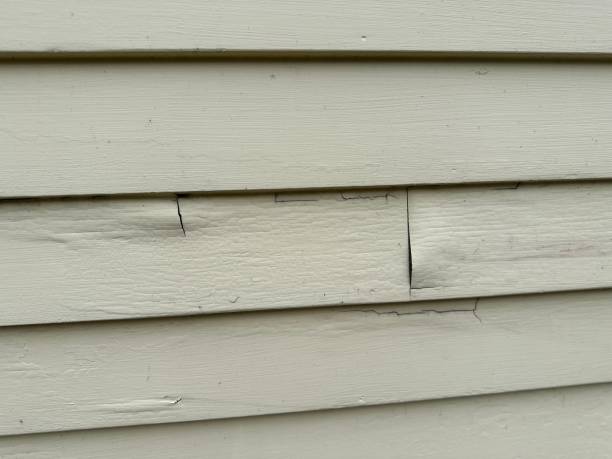 Best Stone Veneer Siding  in Brownstown, PA